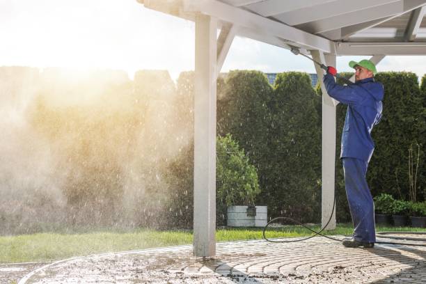 Best Solar Panel Cleaning  in Mitchell, IL